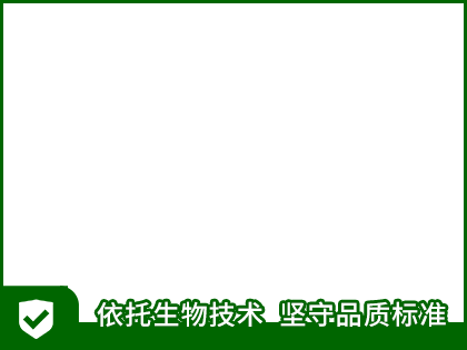 布景框